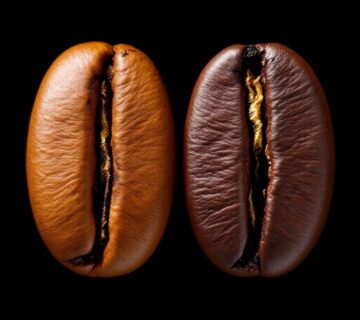 Arabica vs Robusta   poznaj różnice między gatunkami kawy