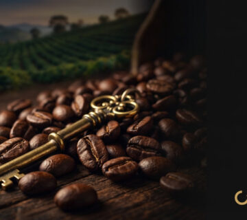 100% Arabica co to znaczy? Klucz do świata kawy premium