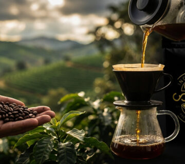 Kawa Arabica Brazylia Santos: Odkryj Klasykę Świata Specialty