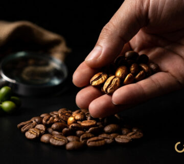 Najlepsza kawa ziarnista 2026: Jak wybrać ziarna premium?